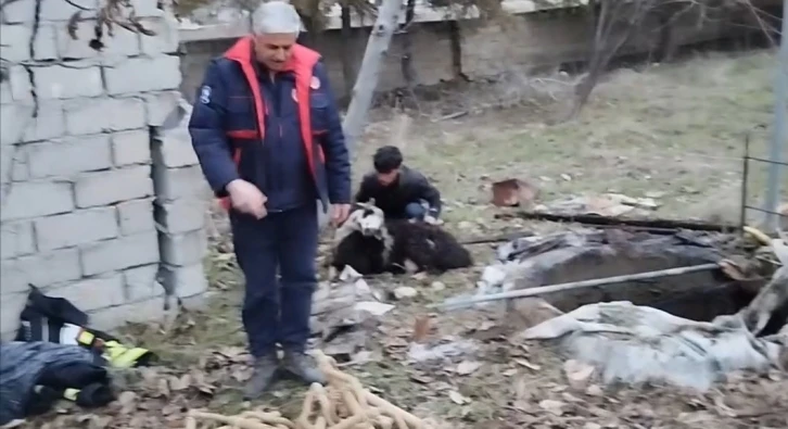 Kuyuya düşen koyunu ekipler kurtardı
