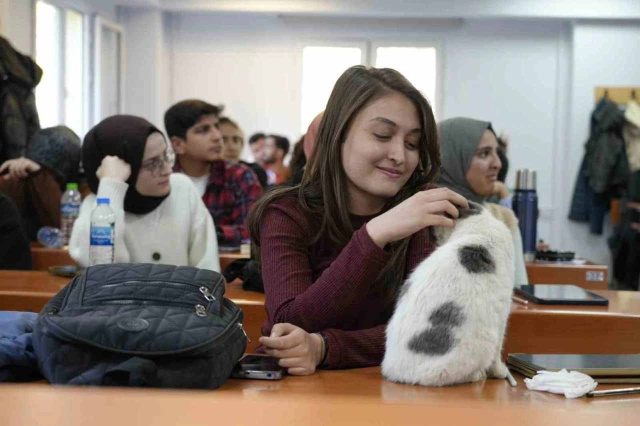 ‘Labne’ fakültede öğrencilerle derslere giriyor
