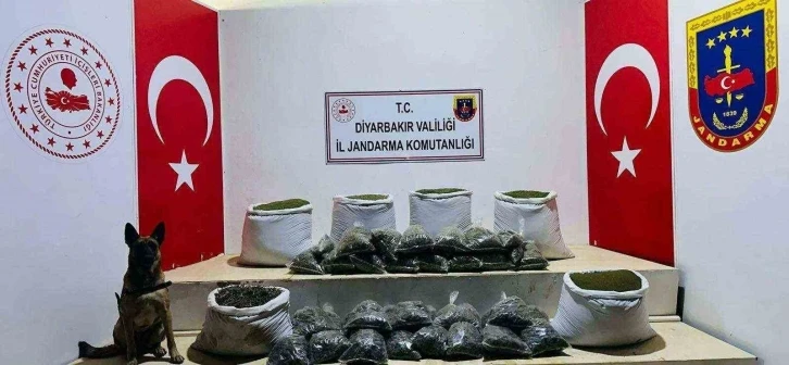 Lice’de 226 kilo esrar ele geçirildi
