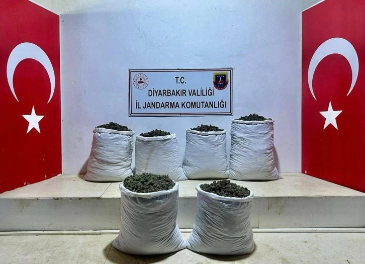 Lice’de 3 ayrı noktada 79 kilo esrar ele geçirildi
