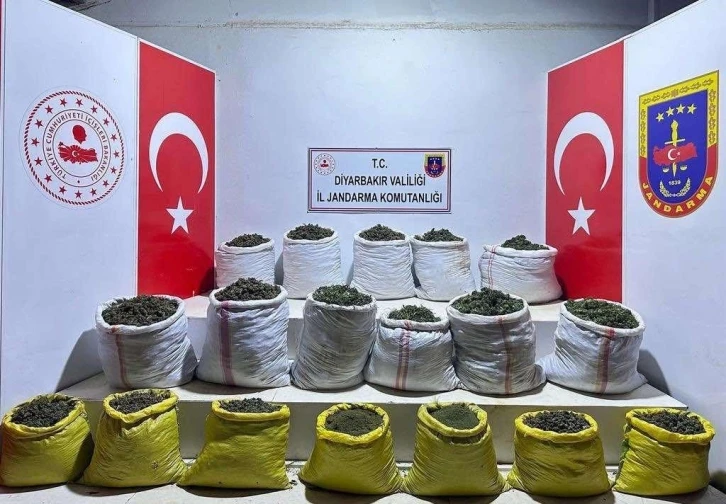 Lice kırsalında 366 kilogram uyuşturucu ile 270 bin kök kenevir bitkisi ele geçirildi
