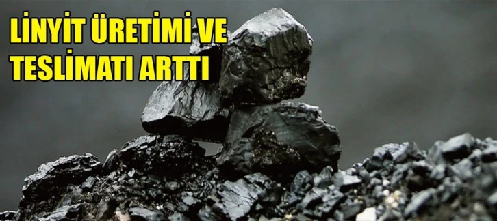 Linyit üretimi arttı