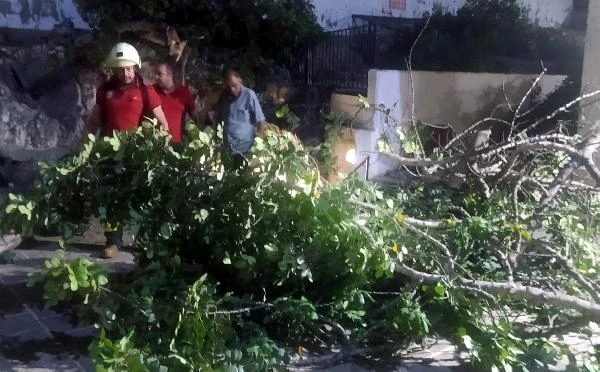 Mağara girişine ağaç devrilince içeride mahsur kalanlar kurtarıldı