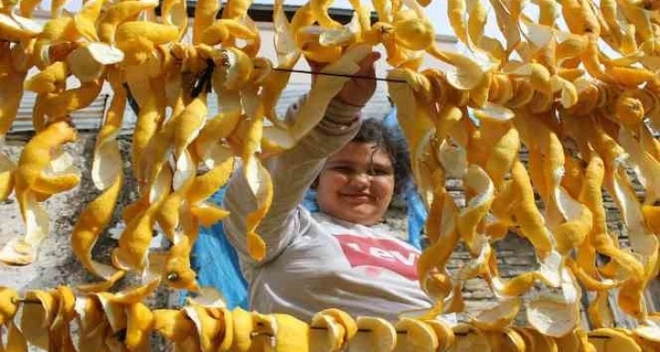 Mahallenin geçim kaynağı oldu, çamaşır gibi kabuk kurutuyorlar