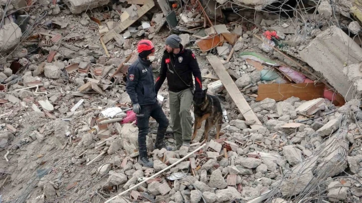 Malatya’da arama kurtarma köpekleri devrede
