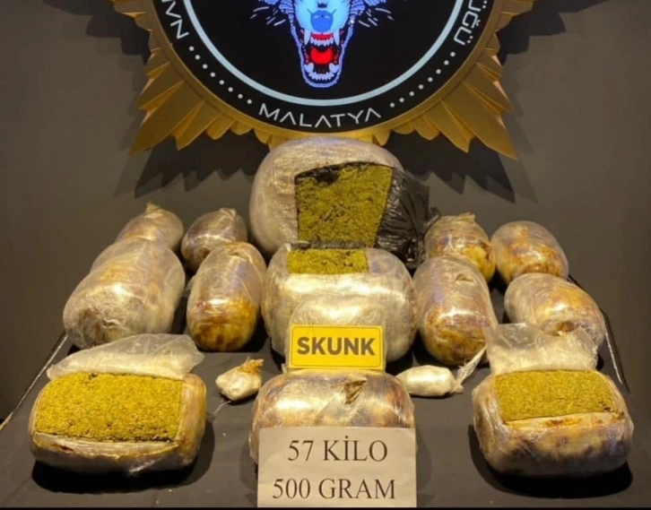 Malatya’da bir haftada 58 kilo 343 gram skunk ele geçirildi
