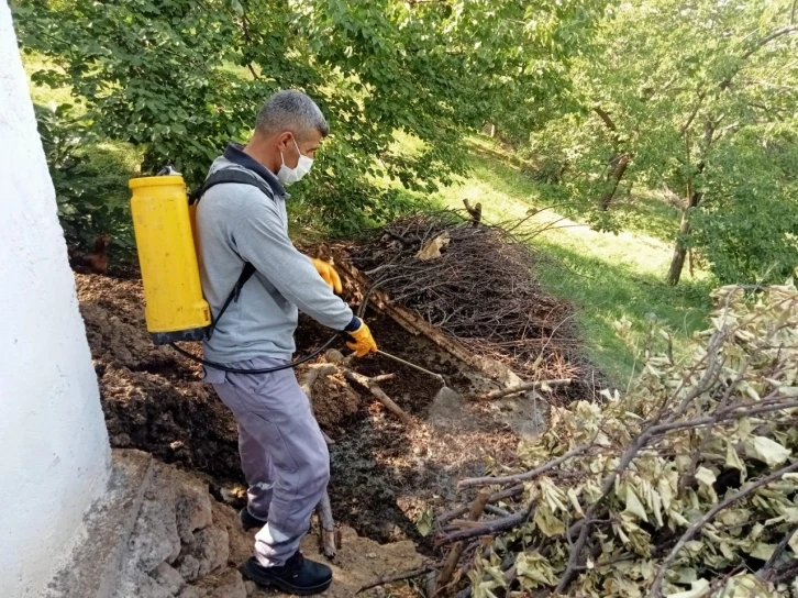 Malatya’da ilaçlama çalışmaları sürüyor
