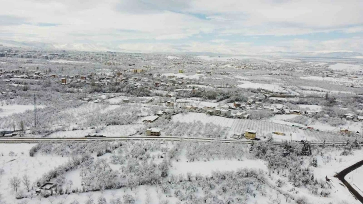 Malatya’da kayısı bahçeleri beyaz gelinliğini giydi
