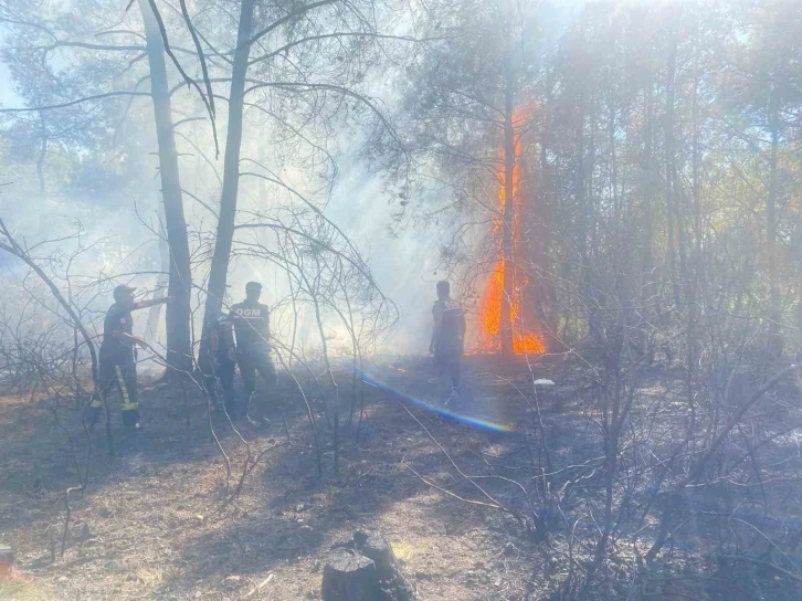 Manavgat’ta ormanlık alanda başlayan ikinci yangın söndürüldü
