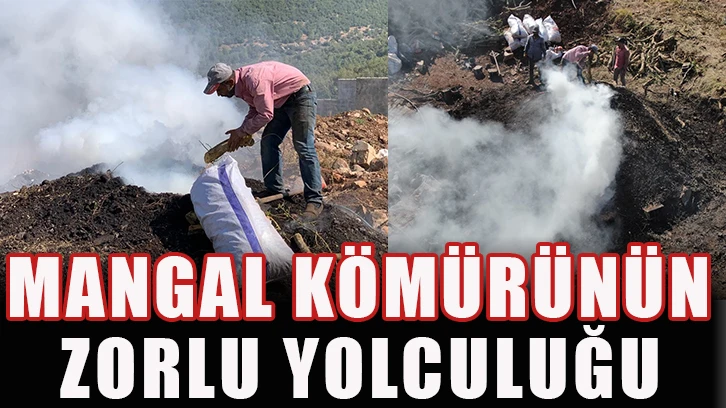 Mangal kömürünün zorlu yolculuğu