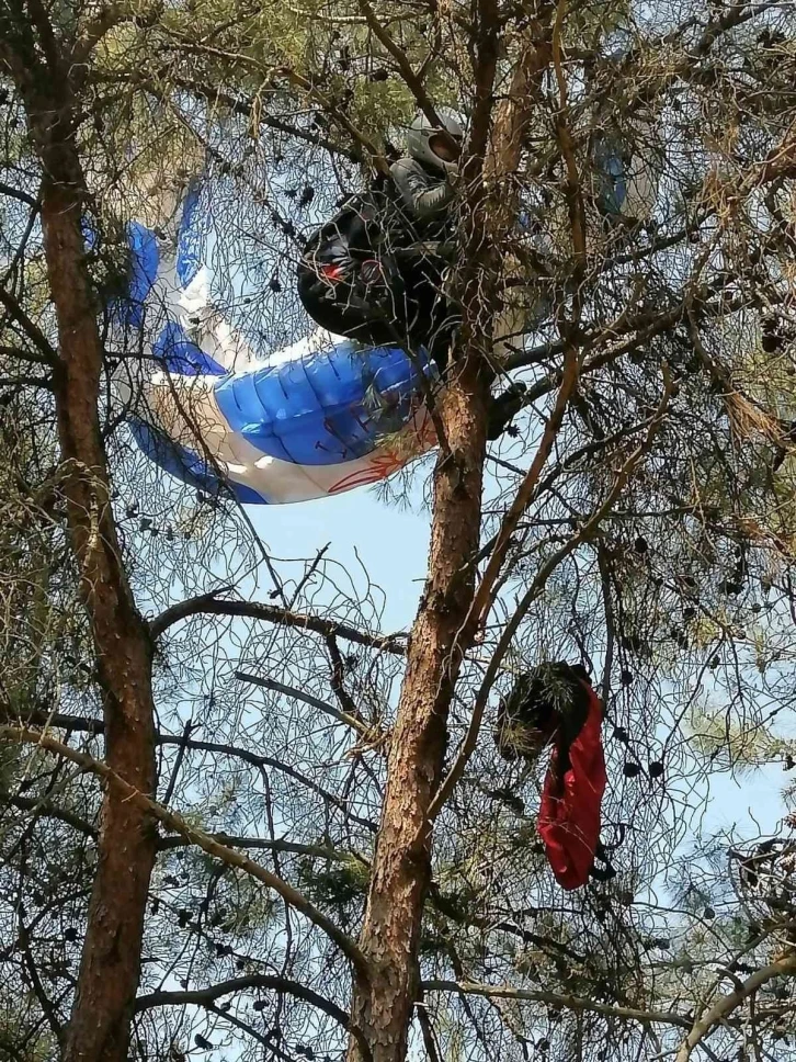 Manisa’da amatör paraşütçü ağaca asılı kaldı
