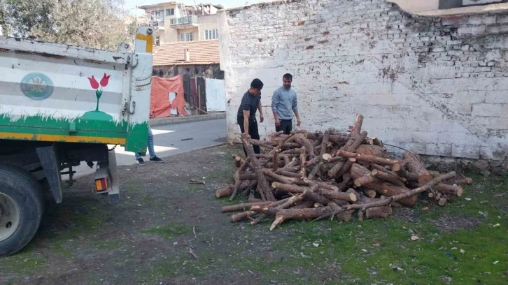 Manisa’da budanan ağaçlar depremzedeleri ısıtacak
