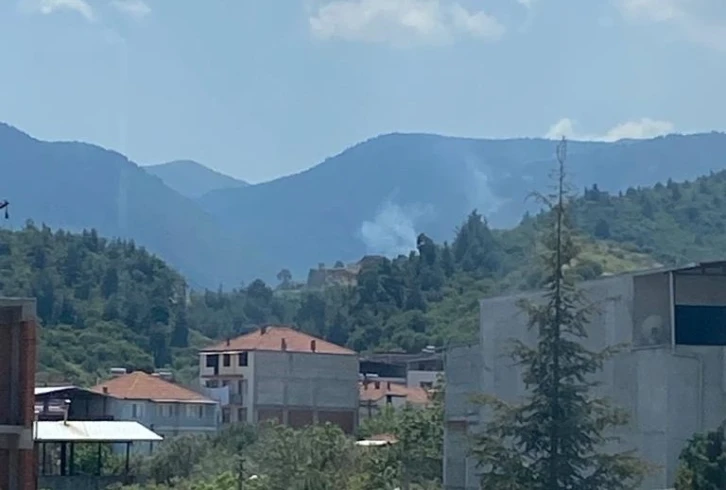 Manisa’da çıkan orman yangınında 1 hektar alan zarar gördü
