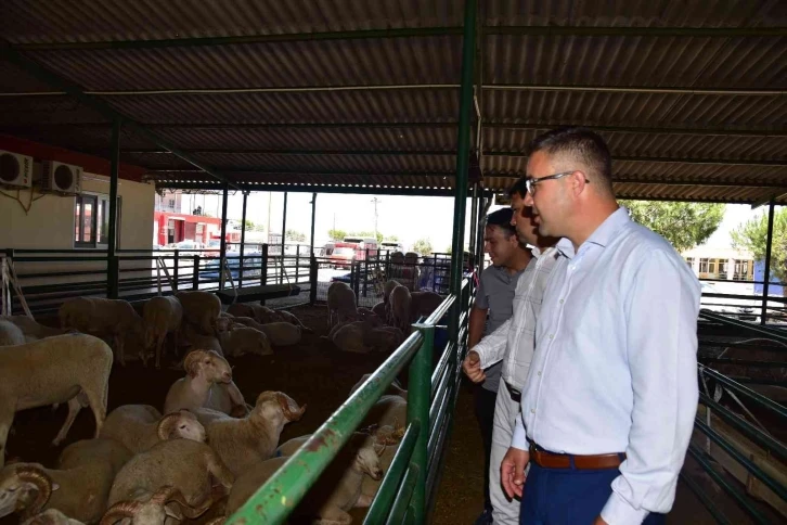 Manisa’da kurban satış noktalarında ilaçlama çalışması
