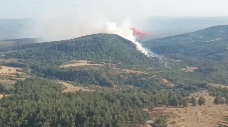 Manisa’da orman yangını
