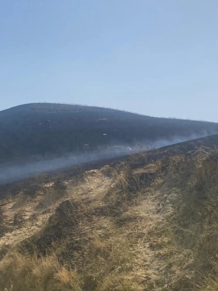 Manisa’da otluk alanda yangın: 1 kişi dumandan etkilendi
