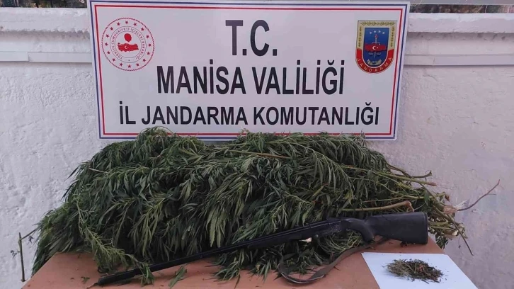 Manisa’da uyuşturucu operasyonları: 1 kişi tutuklandı
