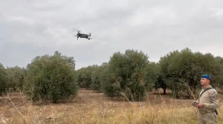 Manisa’da zeytin bahçelerini komandolar koruyor
