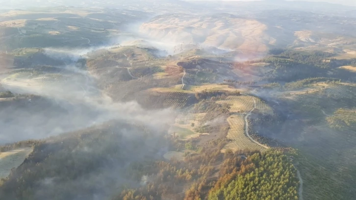 Manisa’daki orman yangını kontrol altına alındı
