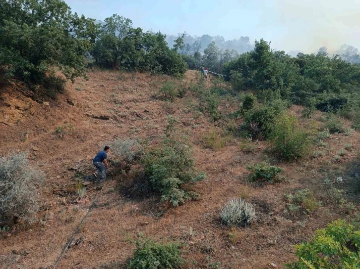 Manisa’daki orman yangını söndürüldü
