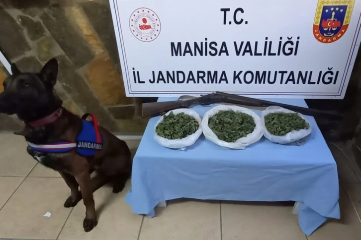 Manisa Jandarması uyuşturucu tacirlerine göz açtırmıyor