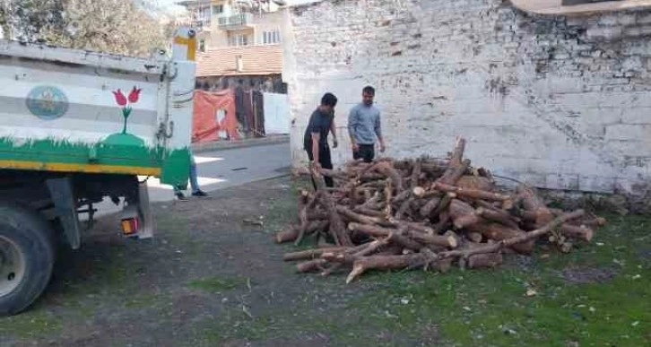 Manisa’da budanan ağaçlar depremzedeleri ısıtacak