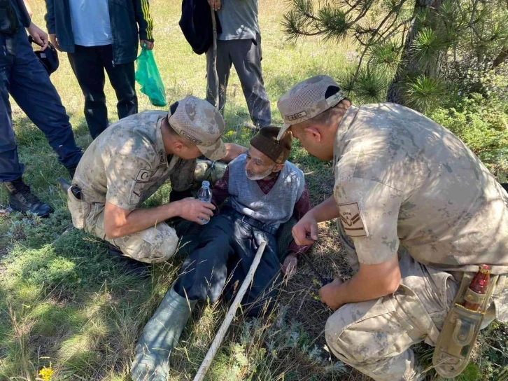 Mantar toplamak için gittiği ormanda kayboldu, 1 gün sonra jandarma ekipleri buldu
