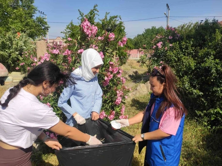 Manyaslı gençlerden çevre temizliği
