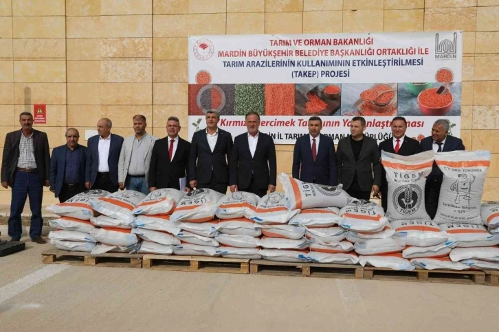 Mardin’de 13 milyon liralık tohum projesi
