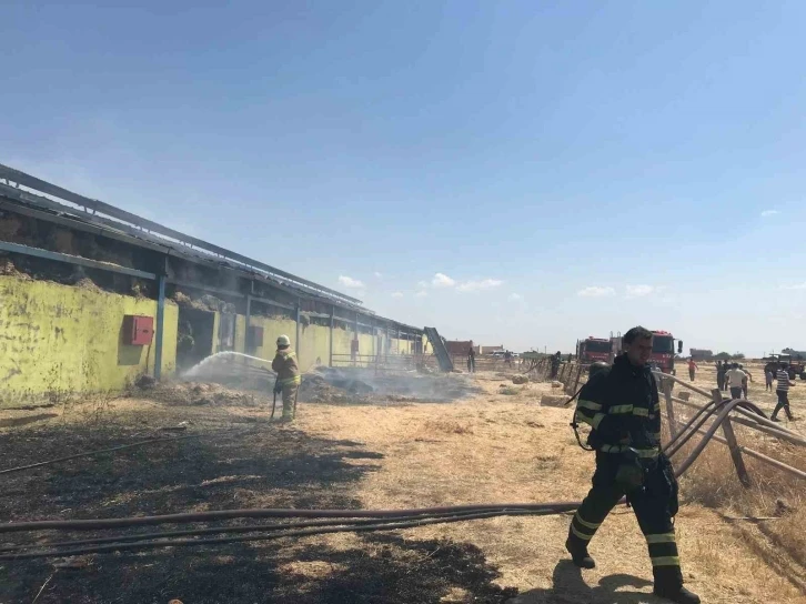 Mardin’de çiftlikte çıkan yangına müdahale devam ediyor
