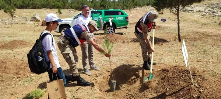 Mardin’de fidanlar toprakla buluştu
