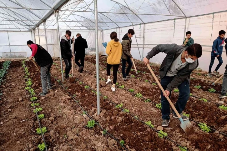 Mardin’de meslek lisesinde uygulamalı tarım eğitimi
