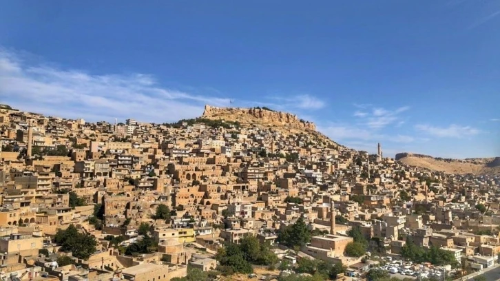 Mardin’de "doğalgazı tasarruflu kullanın" uyarısı
