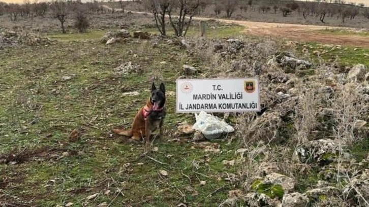 Mardin'de yola tuzaklanan EYP imha edildi