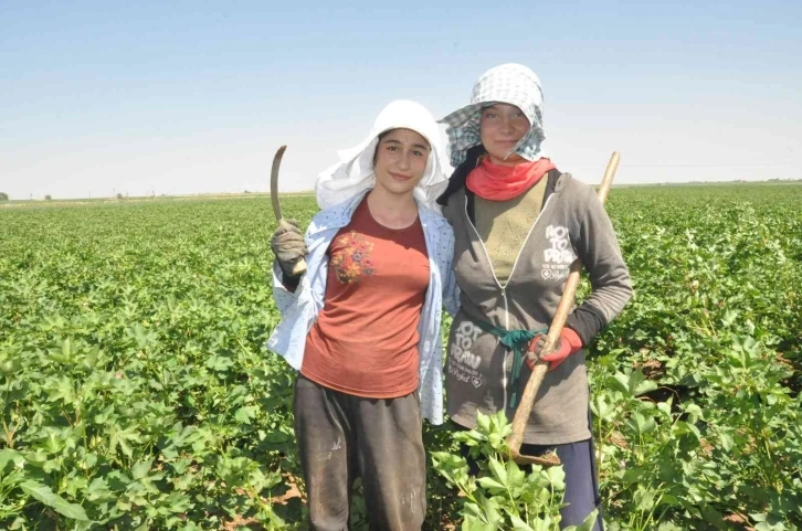 Mardinli kuzenler 45 derece sıcaklıkta eğitim masrafları için çapa salıyor
