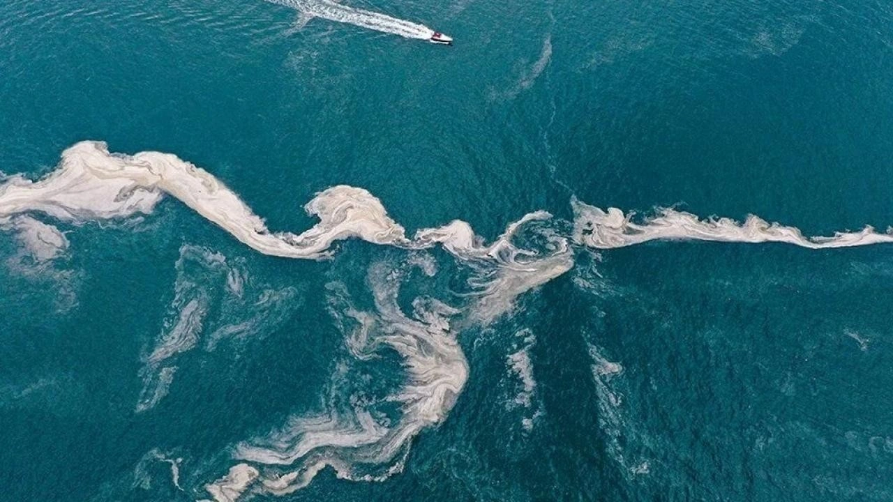 Marmara'da tehlike derinden yayılıyor! Sorun çok büyük