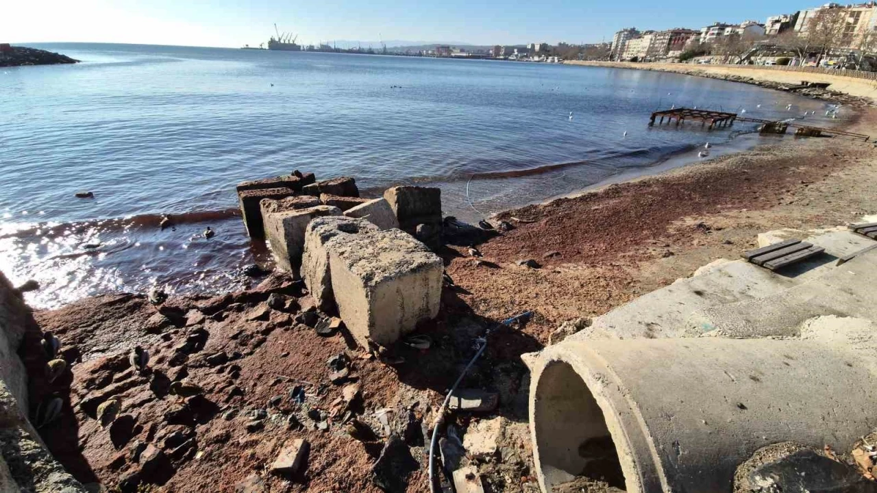 Marmara Denizi’nde lodos sonrası kıyılara kızıl yosun vurdu
