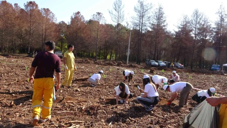 Marmaris’te yanan alanda 11 bin fidan dikildi
