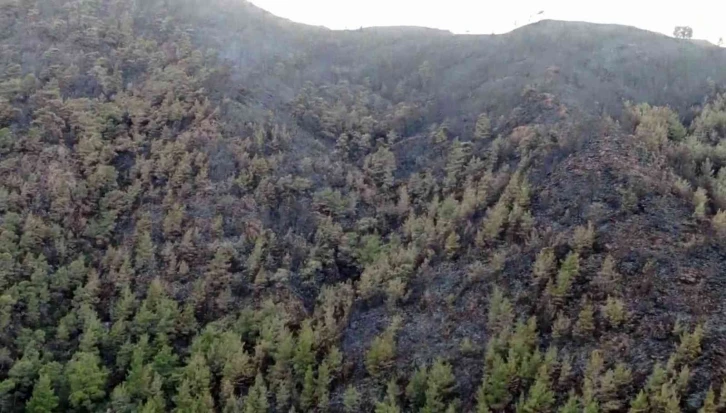 Marmaris’te yürekleri dağlayan kara tablo havadan görüntülendi
