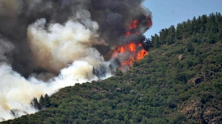 Marmaris'te orman yangını başladı! Yangına havadan ve karadan müdahale ediliyor