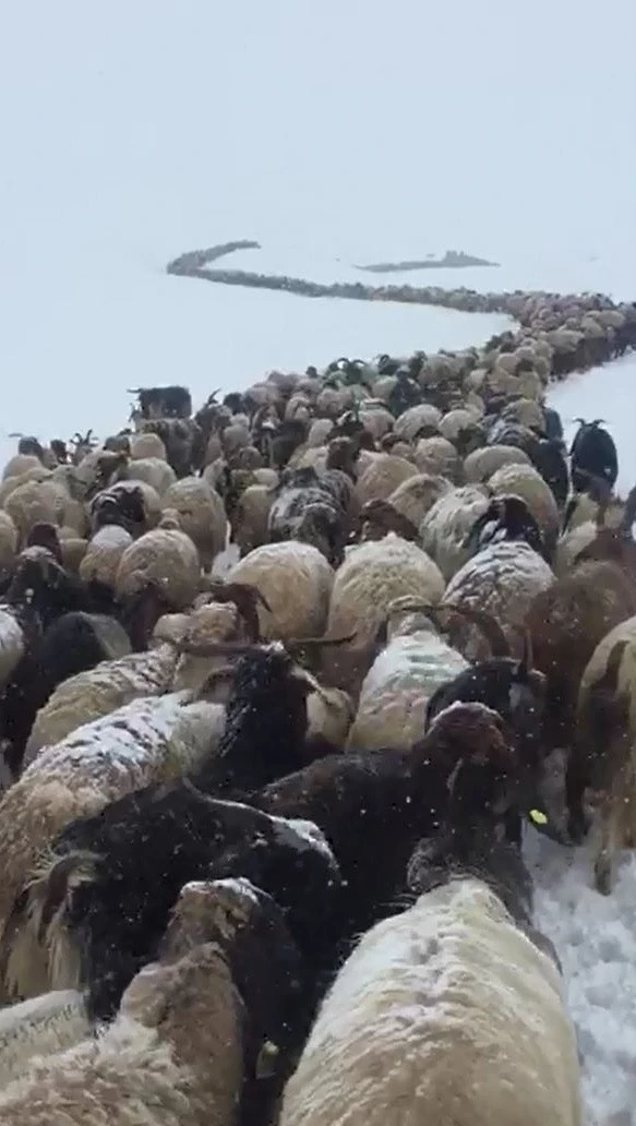 Mayıs ayında kar altında yayla yolculuğu
