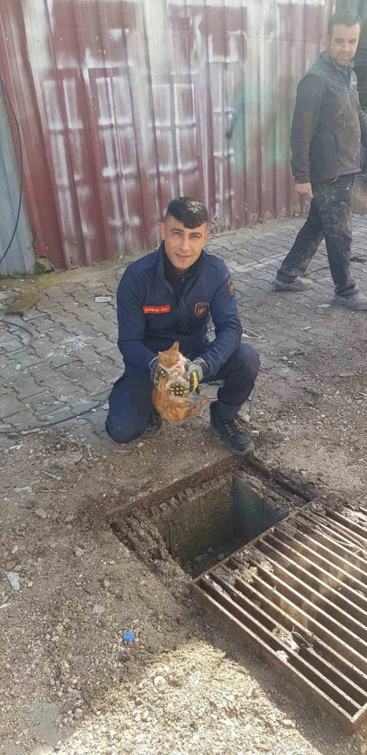 Mazgalın içinde mahsur kalan kedi itfaiye tarafından kurtarıldı
