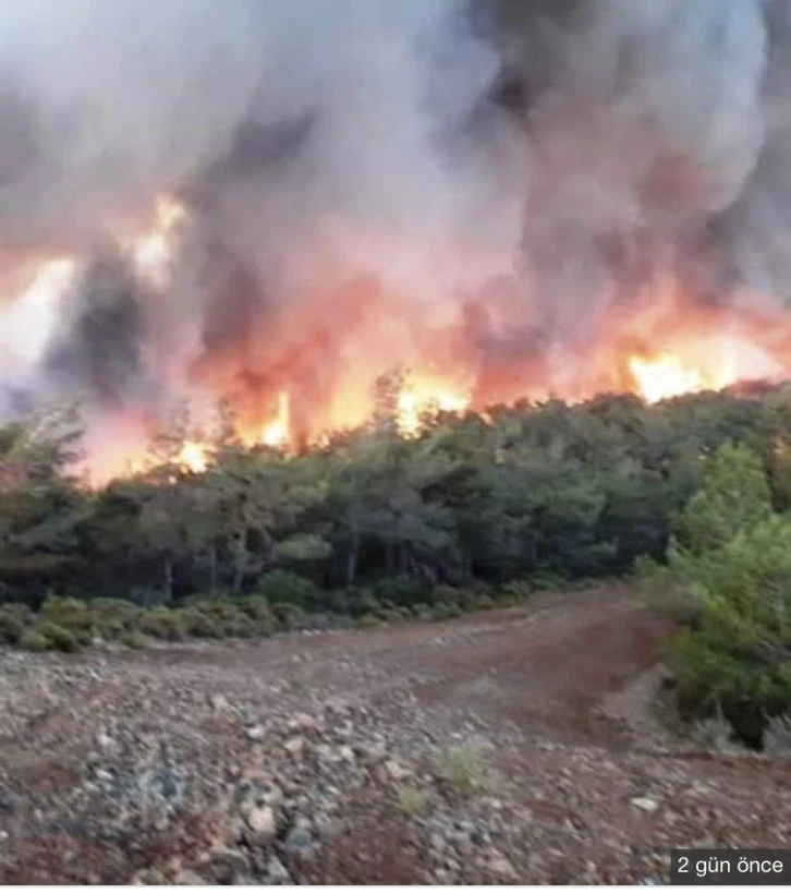  Mehmetçik, Marmaris’te yangını söndürme çalışmalarına aralıksız devam ediyor