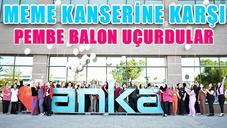 Meme kanserine karşı pembe balon uçurdular