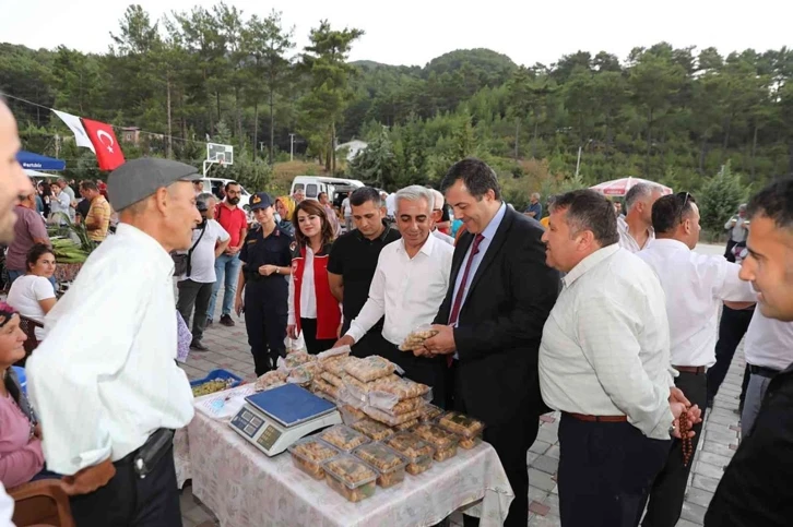 Menderes Havzası’nın ürünü olarak bilinen incir Dalaman’da da üretilmeye başlandı
