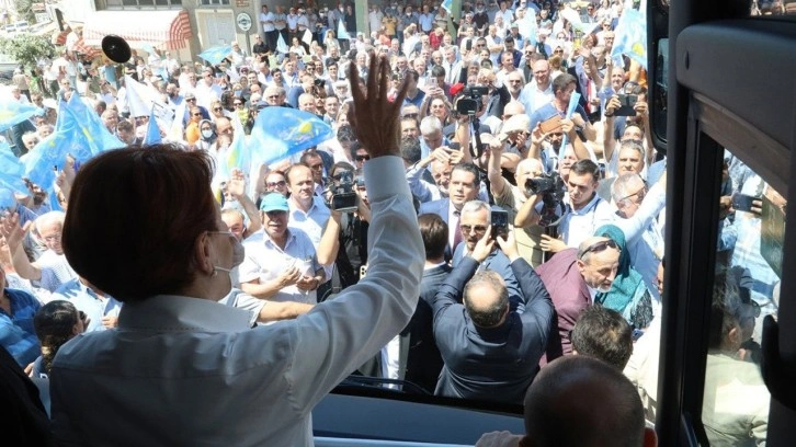 Meral Akşener, fındık teklifinden sonra ayçiçek içinde fiyat açıkladı