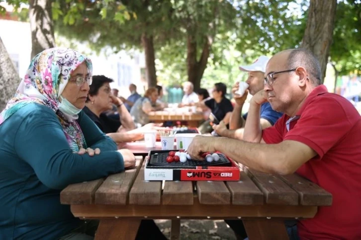 Merkezefendili büyüklere satranç, akıl ve zeka oyunları kursu
