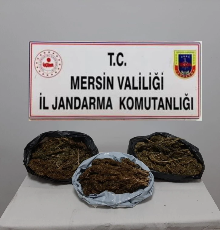 Mersin’de 10 kilo 248 gram skunk ele geçirildi
