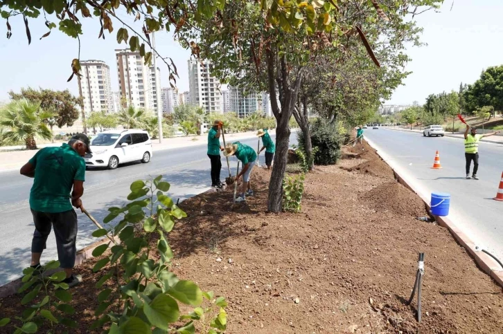 Mersin’de 5 büyük ilçede refüj düzenlemesi yapılıyor
