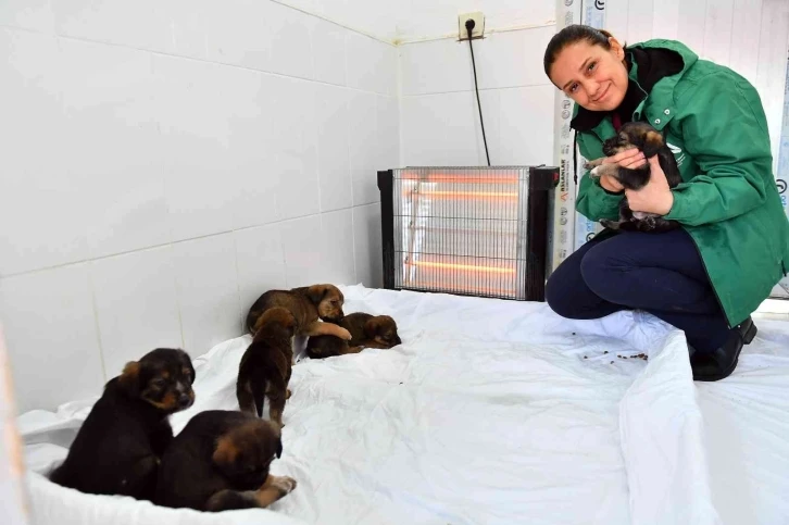 Mersin’de bin 100 patili dosta sıcak yuva sağlandı
